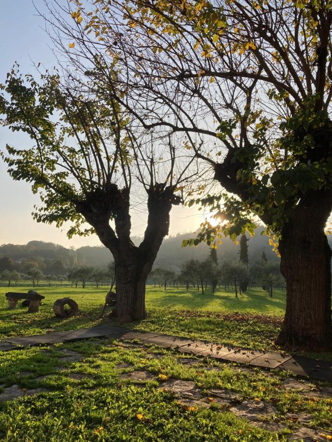 Agriturismo San Michele Vicenza Kültér fotó